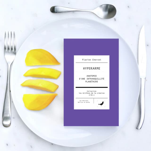 Hyperweaponの表紙